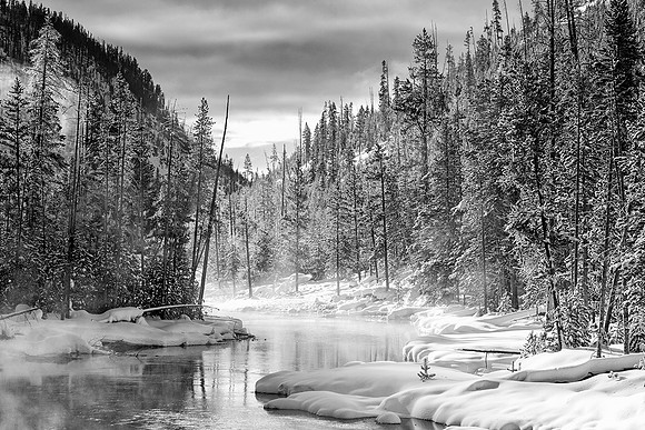 Around the Bend of the Gibbon River