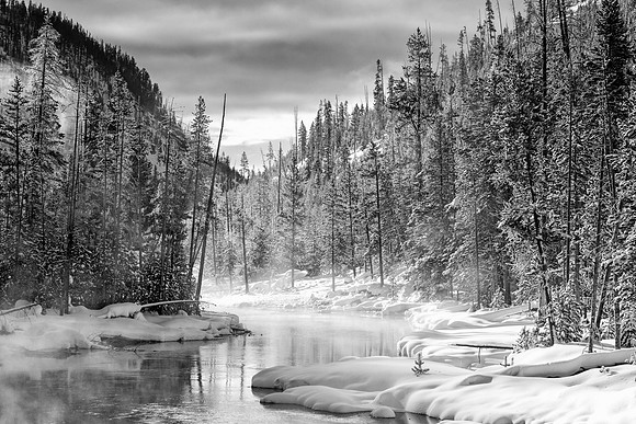 Around the Bend of the Gibbon River