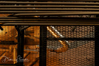Steam Plant